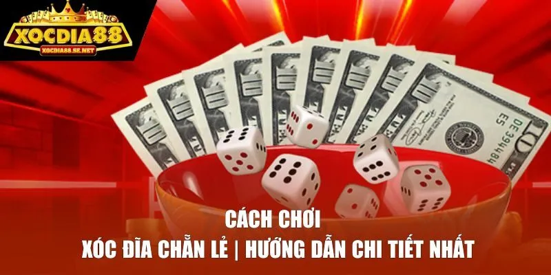 Cách Chơi Xóc Đĩa Chẵn Lẻ