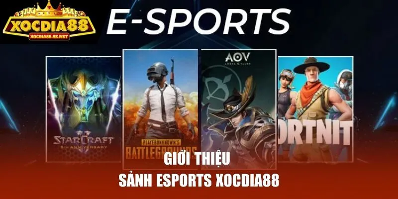Giới thiệu sảnh Esports Xocdia88