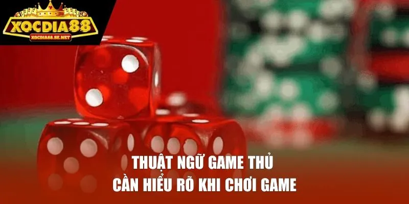 Thuật ngữ game thủ cần hiểu rõ khi chơi game
