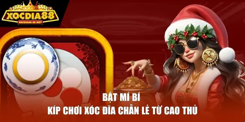 Bật mí bí kíp chơi xóc đĩa chẵn lẻ từ cao thủ 